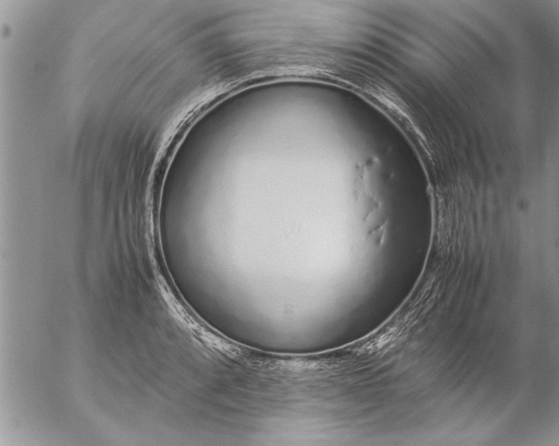 X0000057061088200509231526