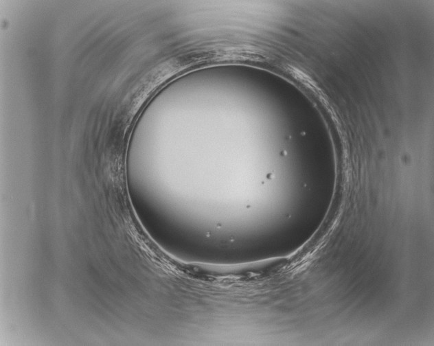 X0000057061089200509231526