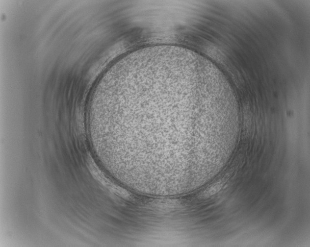 X0000057061090200509231526