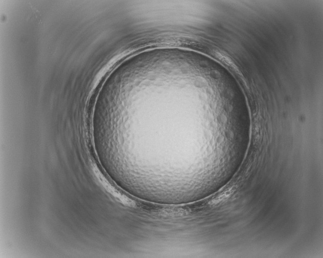 X0000057061091200509231526