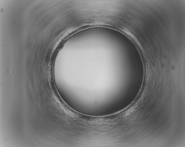 X0000057061093200509231526