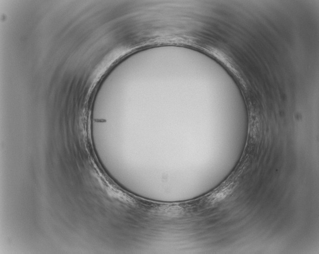 X0000057061094200509231526