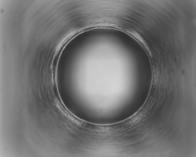 X0000057061096200509231526