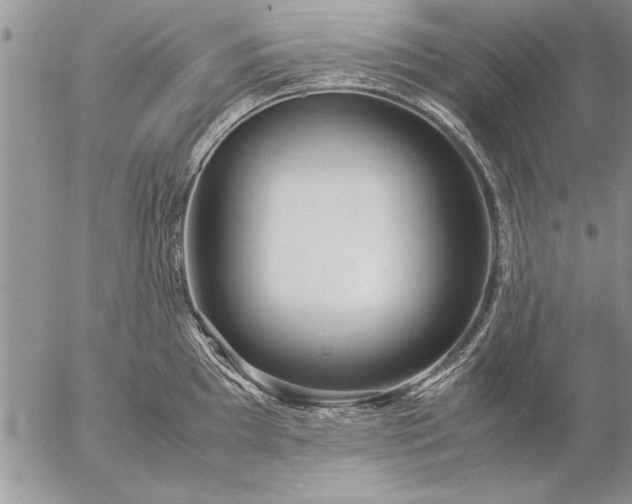 X0000057061097200509231526