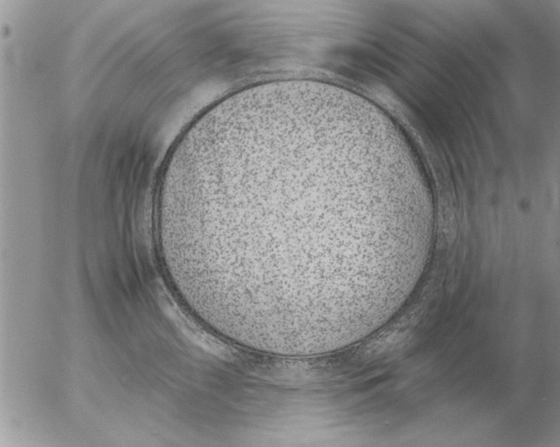 X0000057061098200509231526