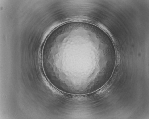 X0000057061099200509231525