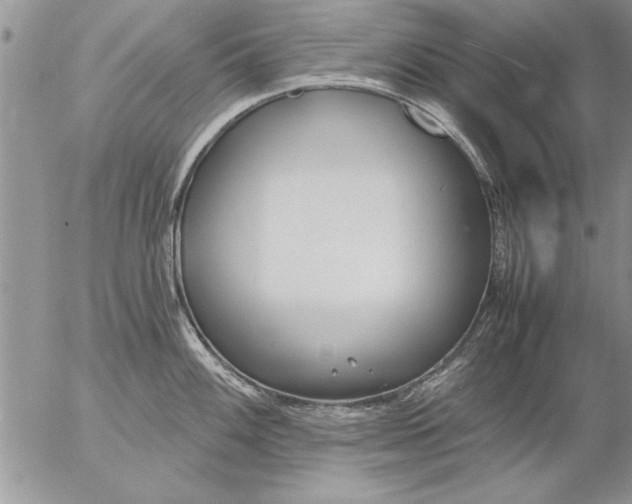 X0000057061100200509231525