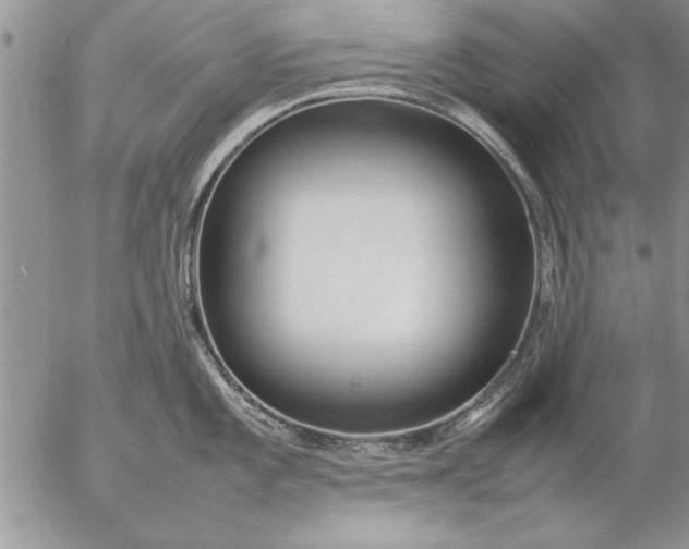 X0000057061101200509231525