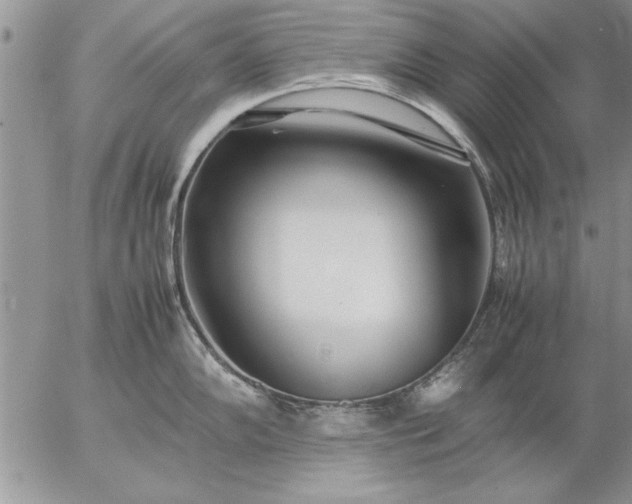 X0000057061102200509231525