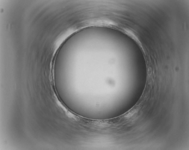 X0000057061103200509231525