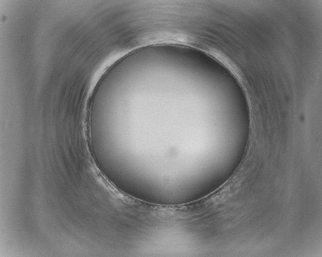 X0000057061104200509231525