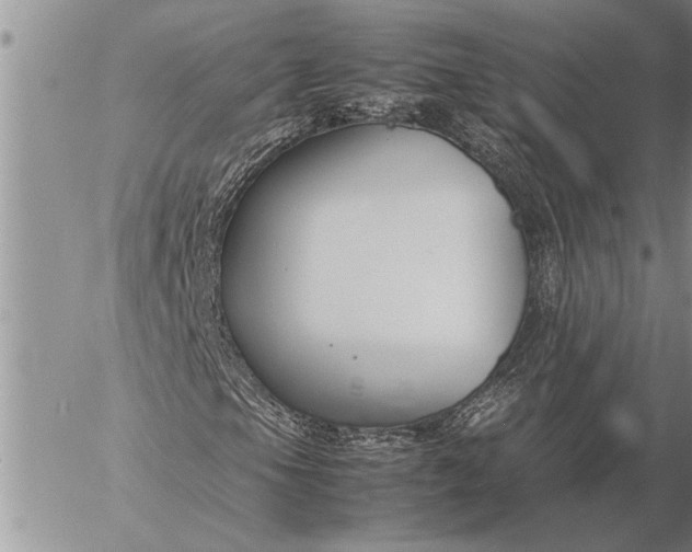 X0000057061105200509231525