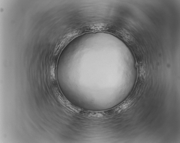 X0000057061106200509231525