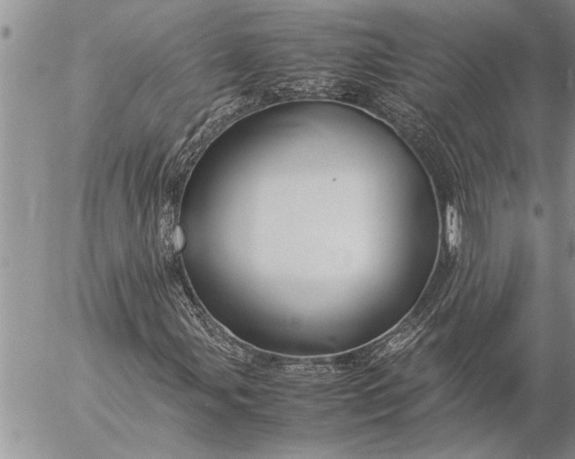 X0000057061107200509231525