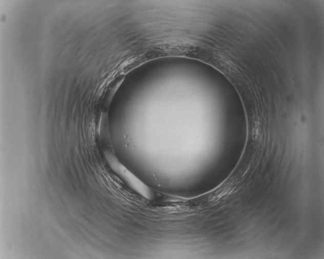 X0000057061108200509231525