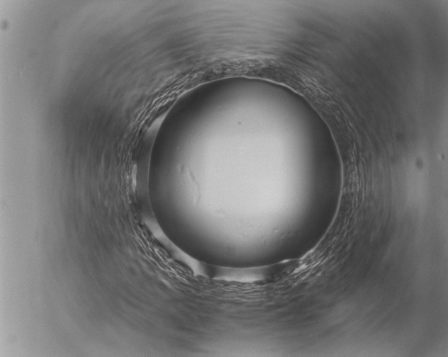 X0000057061109200509231525