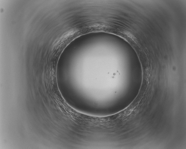 X0000057061111200509231525