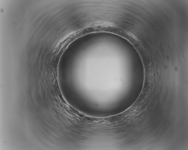 X0000057061112200509231525