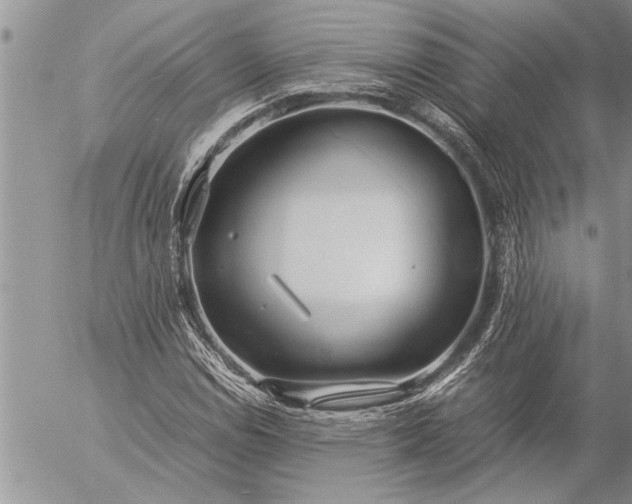 X0000057061114200509231525