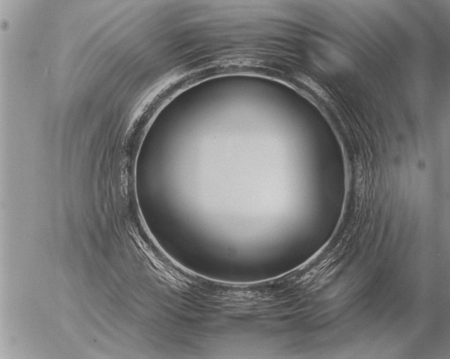 X0000057061115200509231525