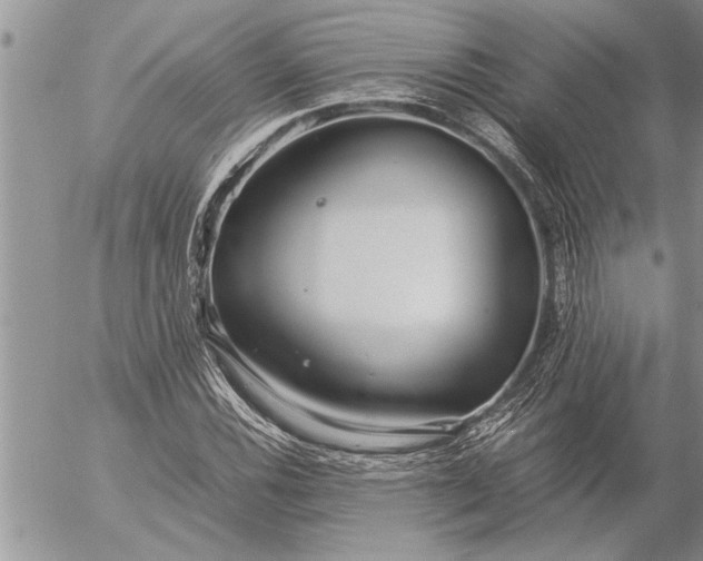 X0000057061116200509231525