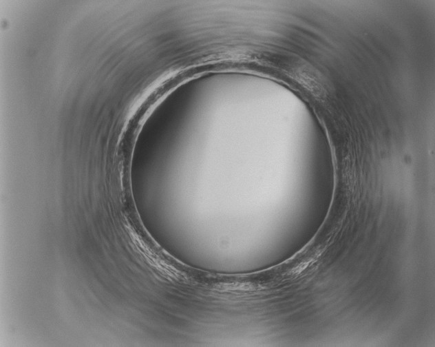 X0000057061118200509231525