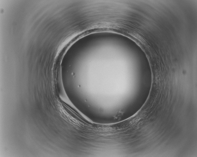 X0000057061120200509231525