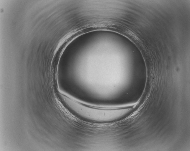 X0000057061122200509231525