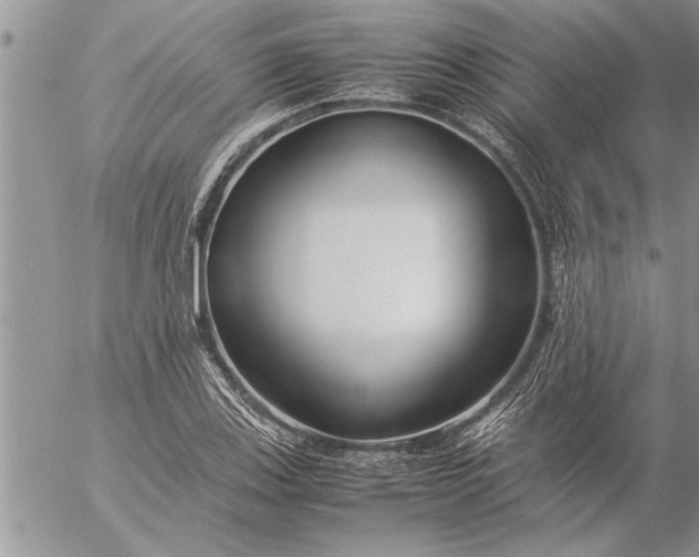 X0000057061123200509231525