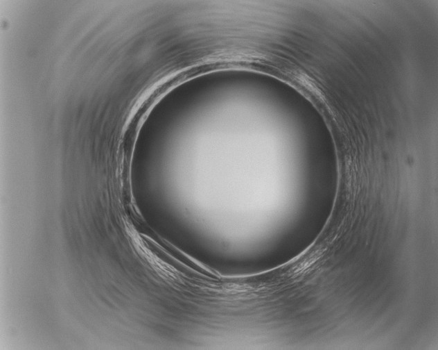 X0000057061124200509231525