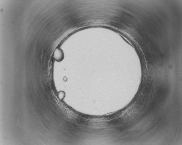 X0000057061126200509231525