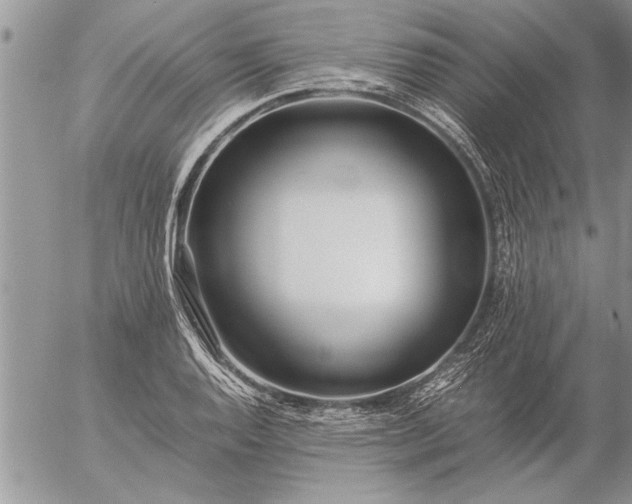 X0000057061128200509231525