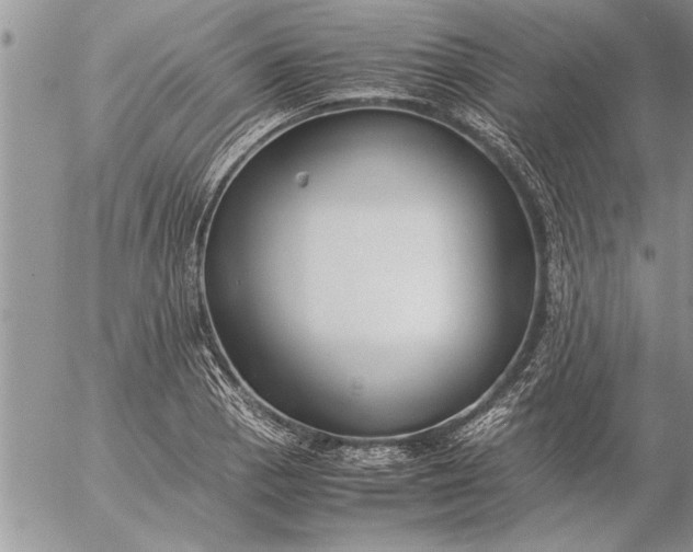 X0000057061129200509231525