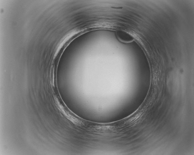 X0000057061131200509231525