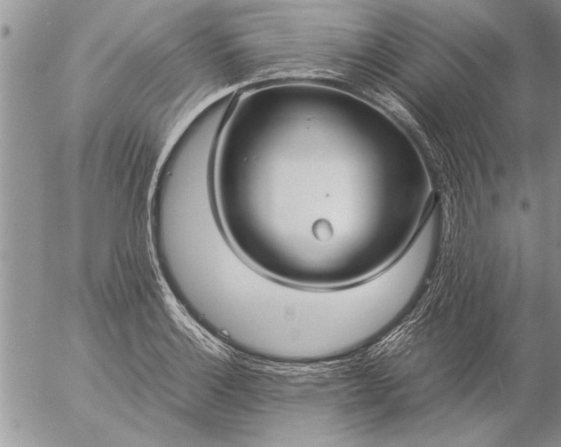 X0000057061132200509231525