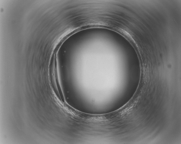 X0000057061133200509231525