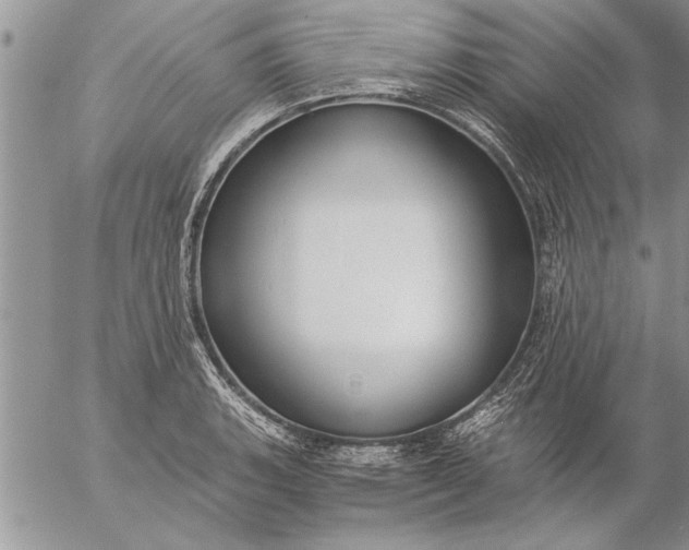 X0000057061135200509231525