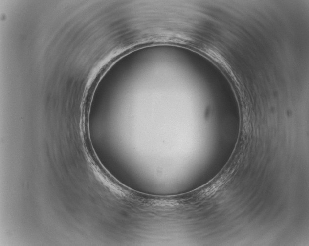 X0000057061136200509231525