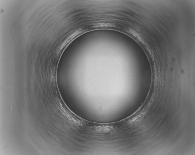 X0000057061137200509231525