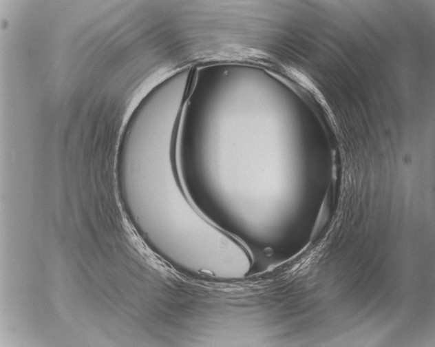 X0000057061138200509231525