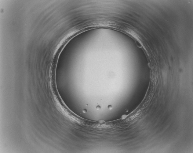 X0000057061139200509231525