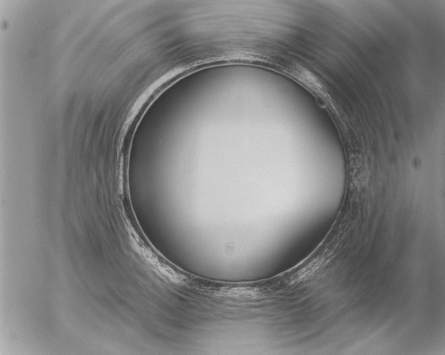 X0000057061140200509231525