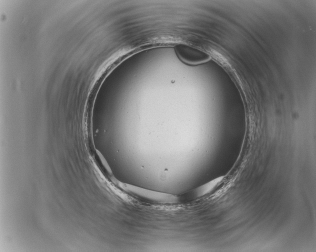 X0000057061141200509231525