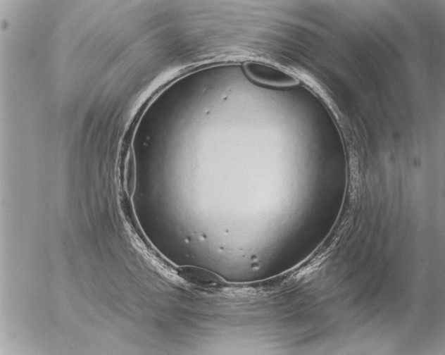 X0000057061142200509231525