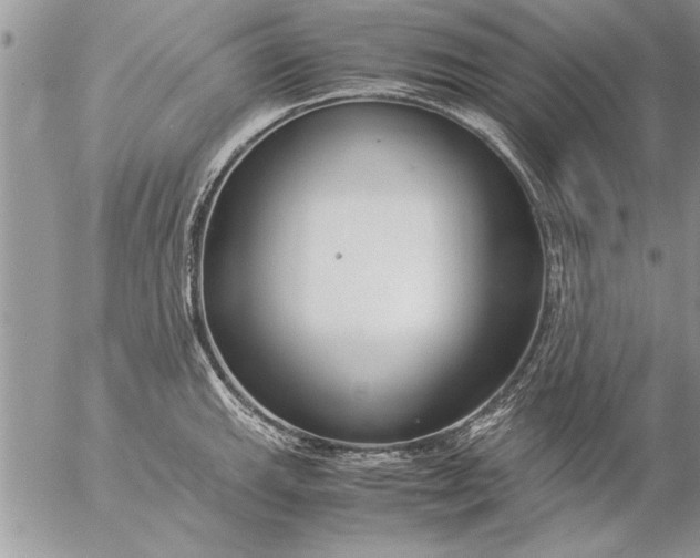 X0000057061143200509231525