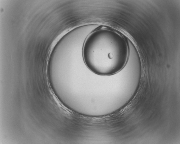 X0000057061144200509231525