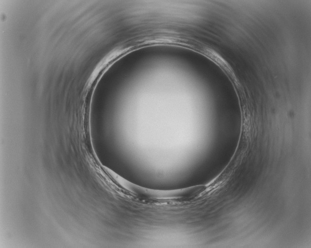 X0000057061146200509231525