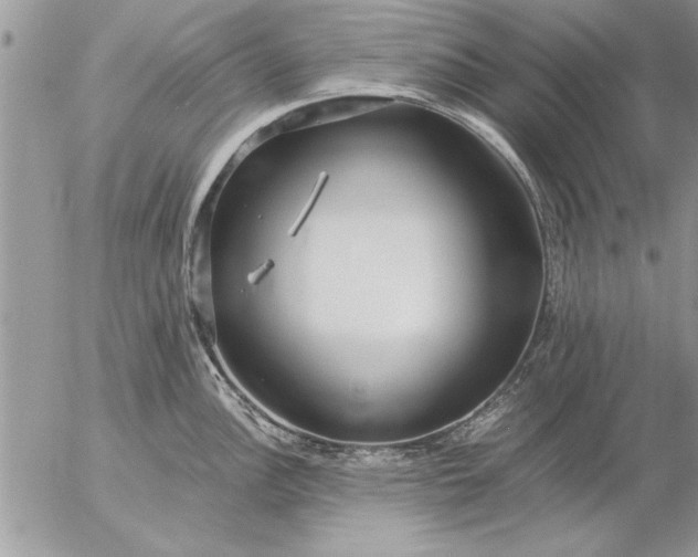 X0000057061148200509231525