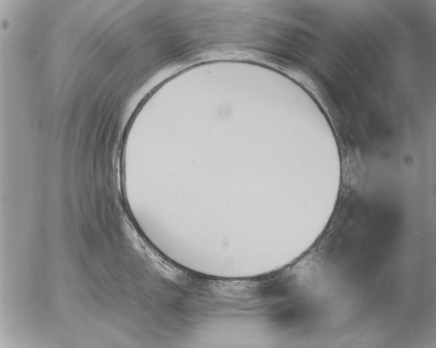 X0000057061150200509231525