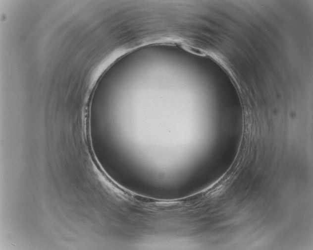 X0000057061151200509231525